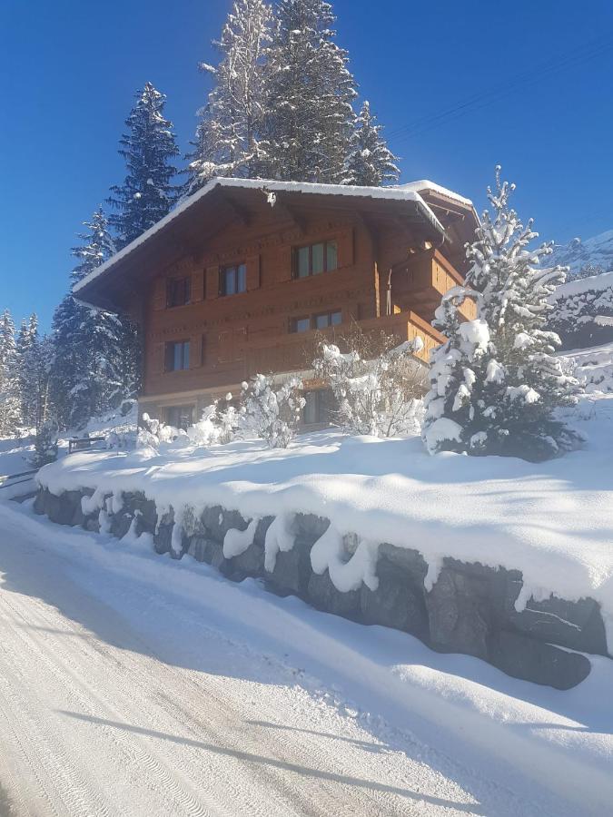 Appartement Grueneggli