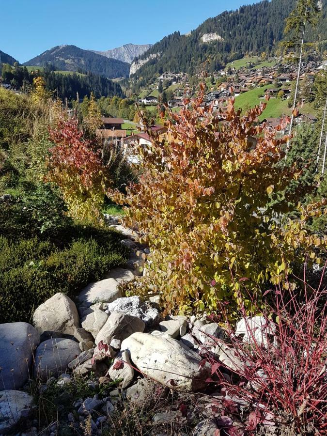 Grueneggli Adelboden